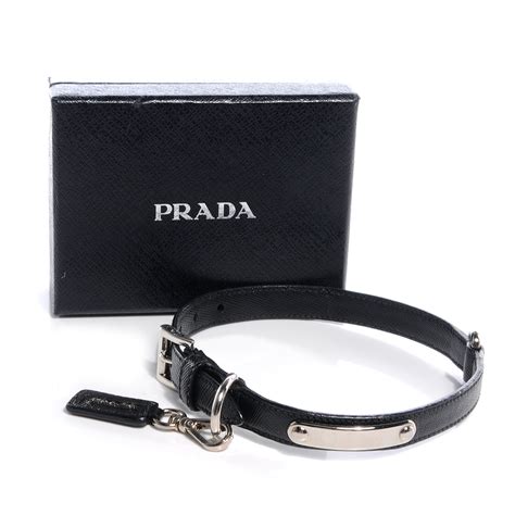 prada dog colar